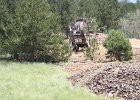 canon-pictures 421